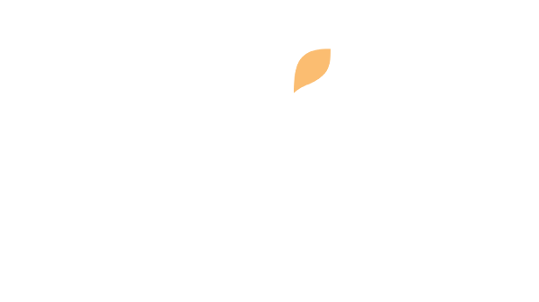 wix_Logo